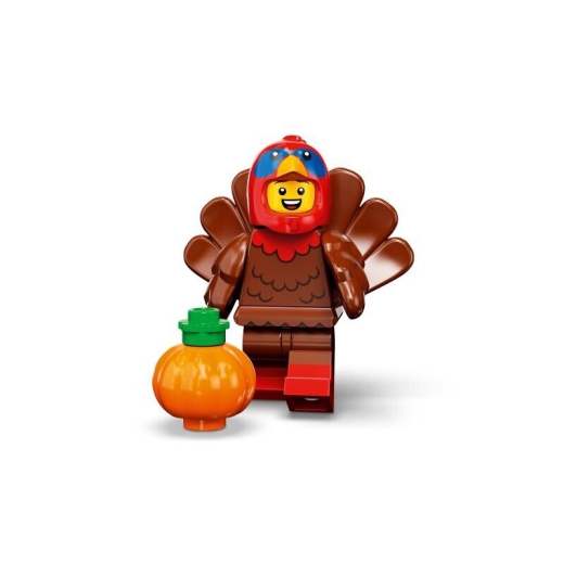 Turkey Costume