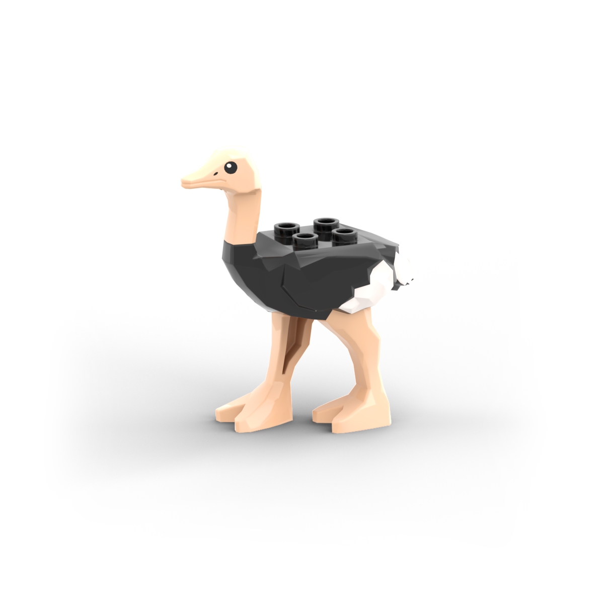 Ostrich