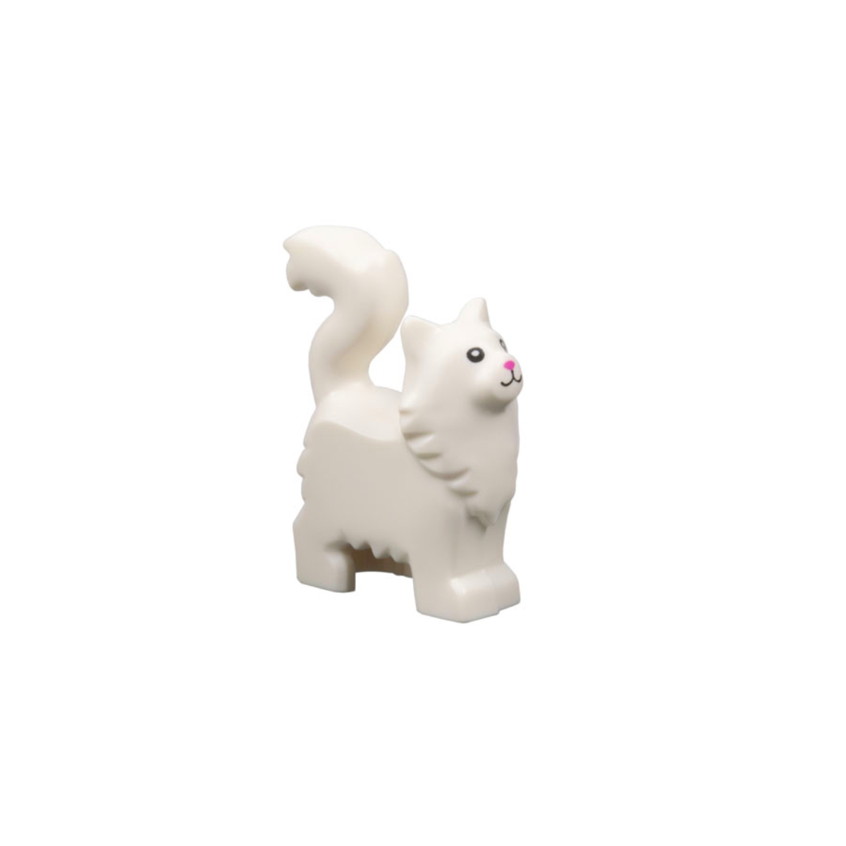 Cat Persian