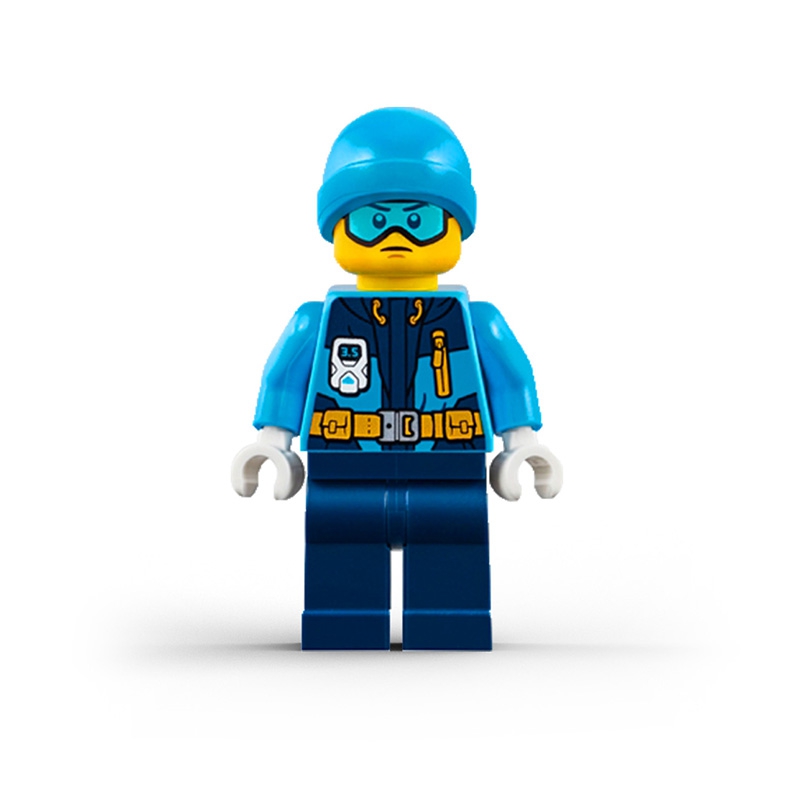 Arctic Explorer