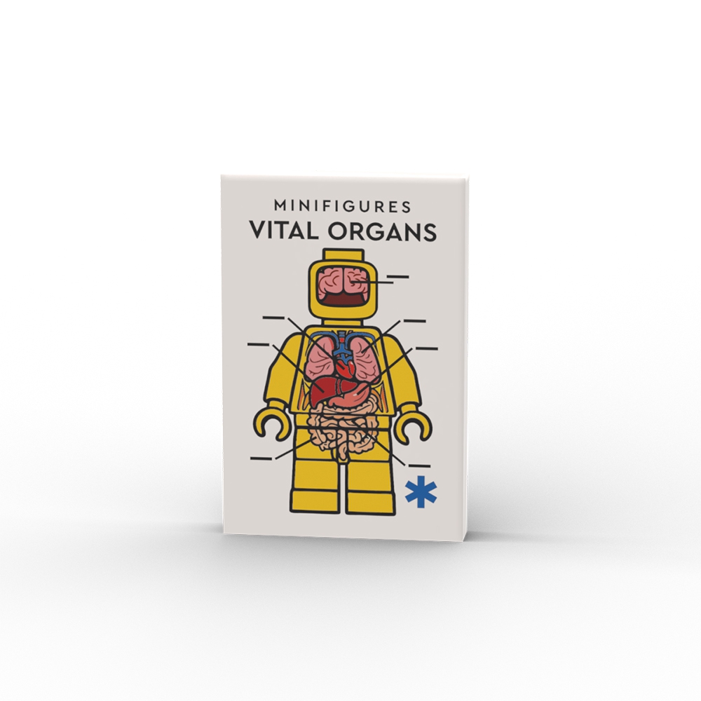 Minifigures Organs