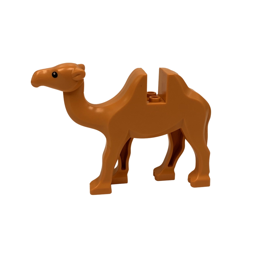 Camel