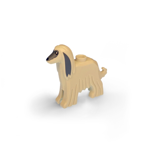 Afghan Hound