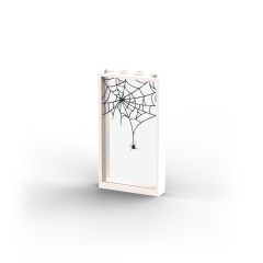 Window with Spider Web