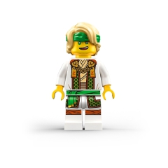 Master Lloyd Ninjago