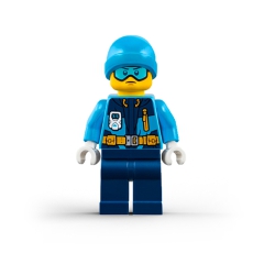Arctic Explorer