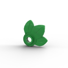 Plant Leaves