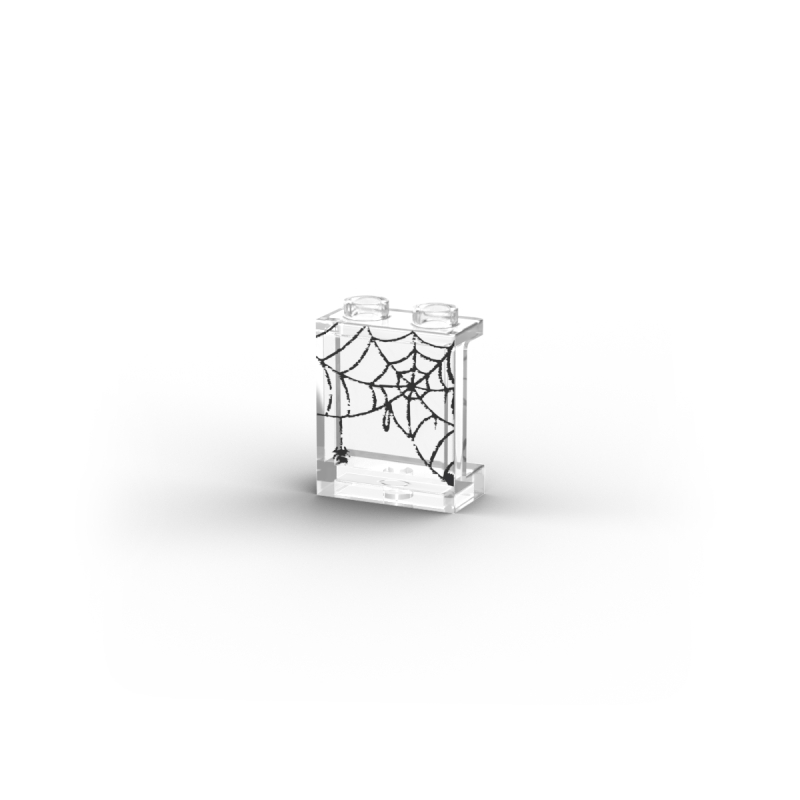 Fenster mit Spinnennetz