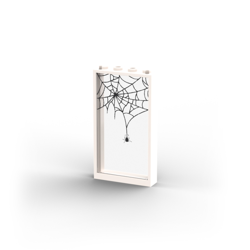 Window with Spider Web