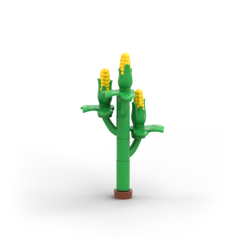 Corn Plant