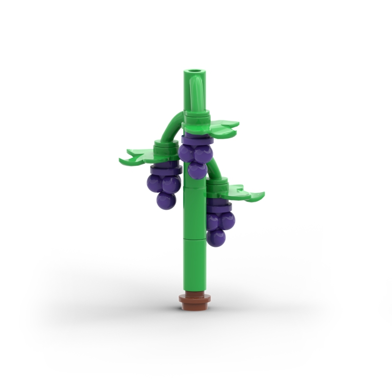 Grapes Plant