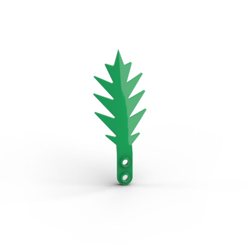Palm Leaf