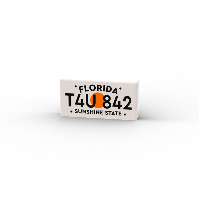 T4U 842 Florida License plates