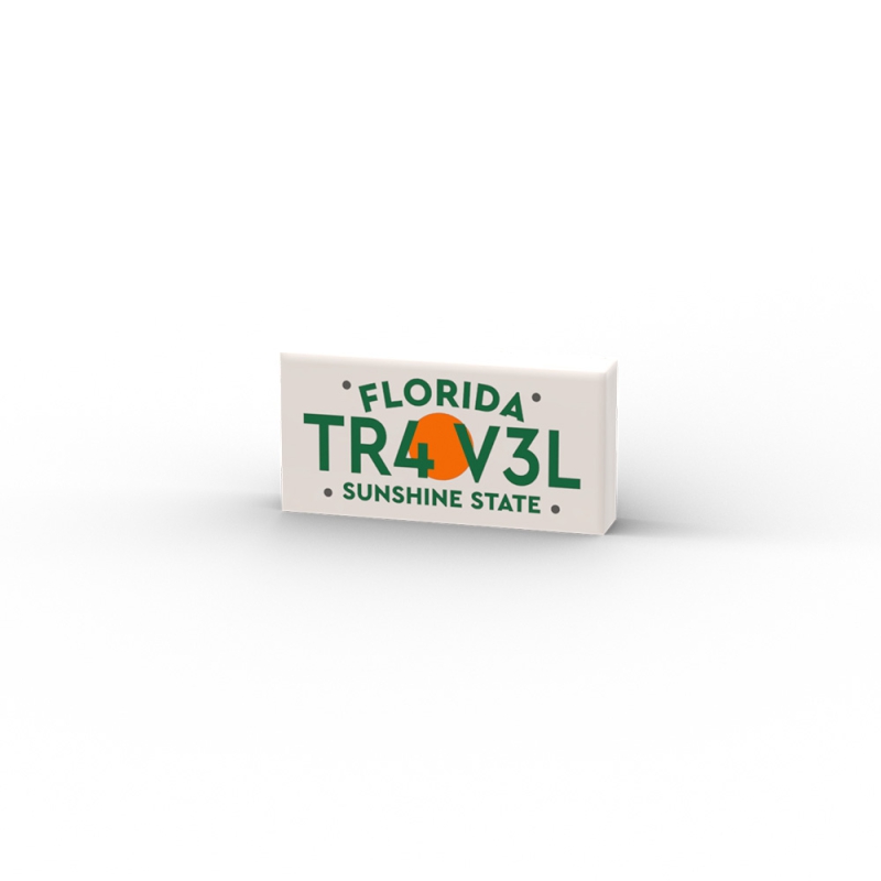 TR4 V3L Florida Nummernschild