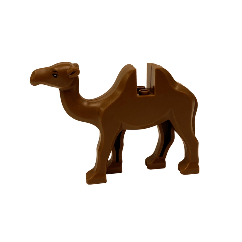 Camel