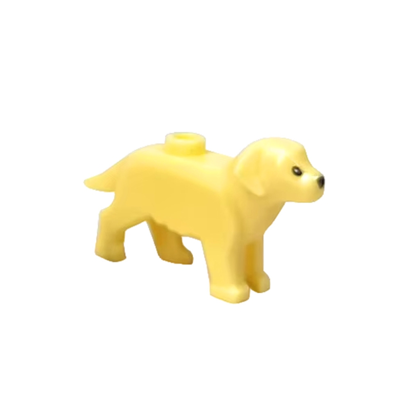 Labrador / Golden Retriever