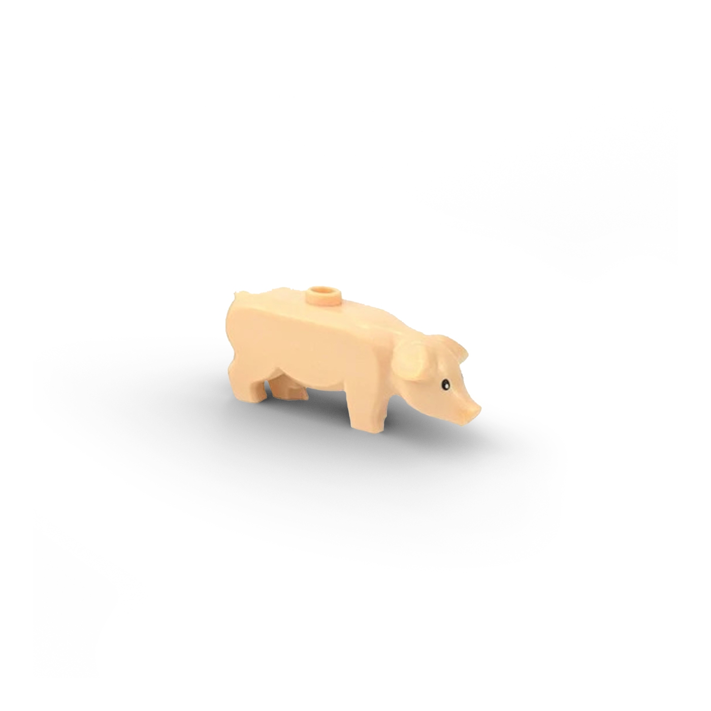 Pig